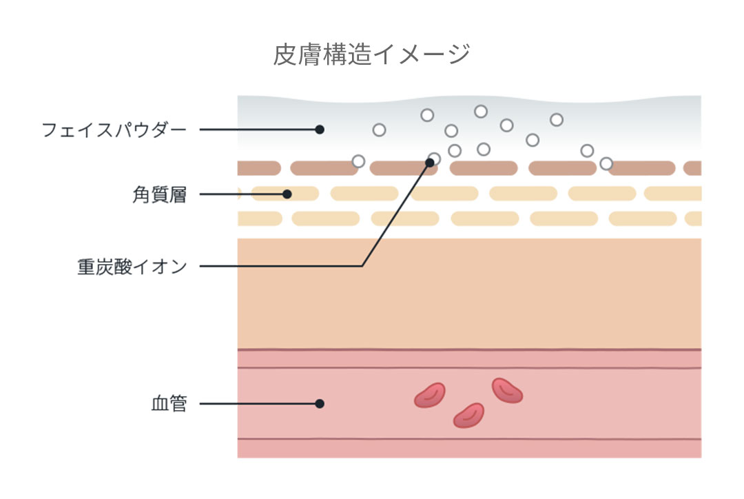 「重炭酸チャージ洗顔」のメカニズム