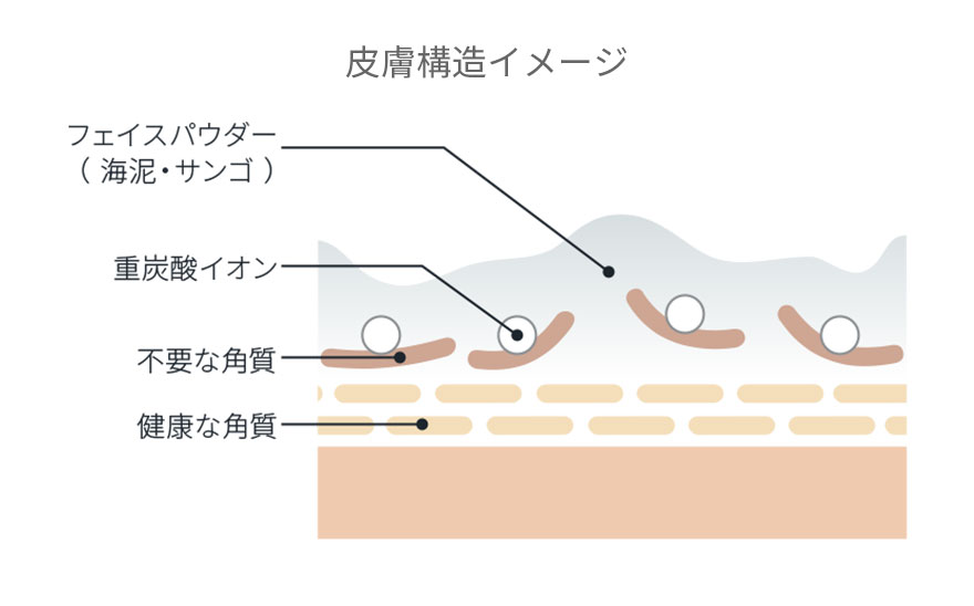 もっちり・しっとり 優しい洗い心地
