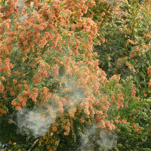 ゆらぎ肌とは？